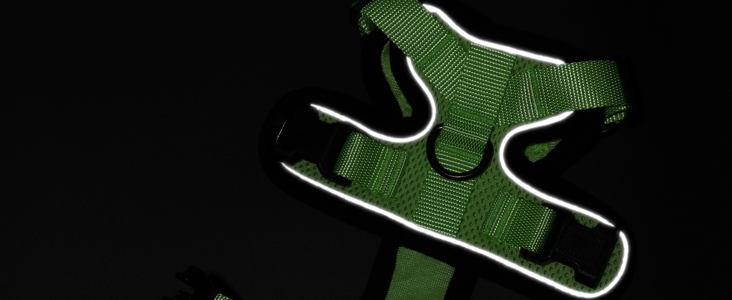 Шлейка для кота Rabbitgoo з повідком, м'яка, безпечна, регульована, зелена, розмір M (XXS, 1 шт.)