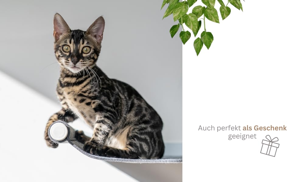 Кігтеточка-гамак для котів AZANO® XL з металу | Дизайнерська стіна для лазіння котів | Гамак для котів на стіну | великий та стабільний (Сірий) AZANO-Сірий