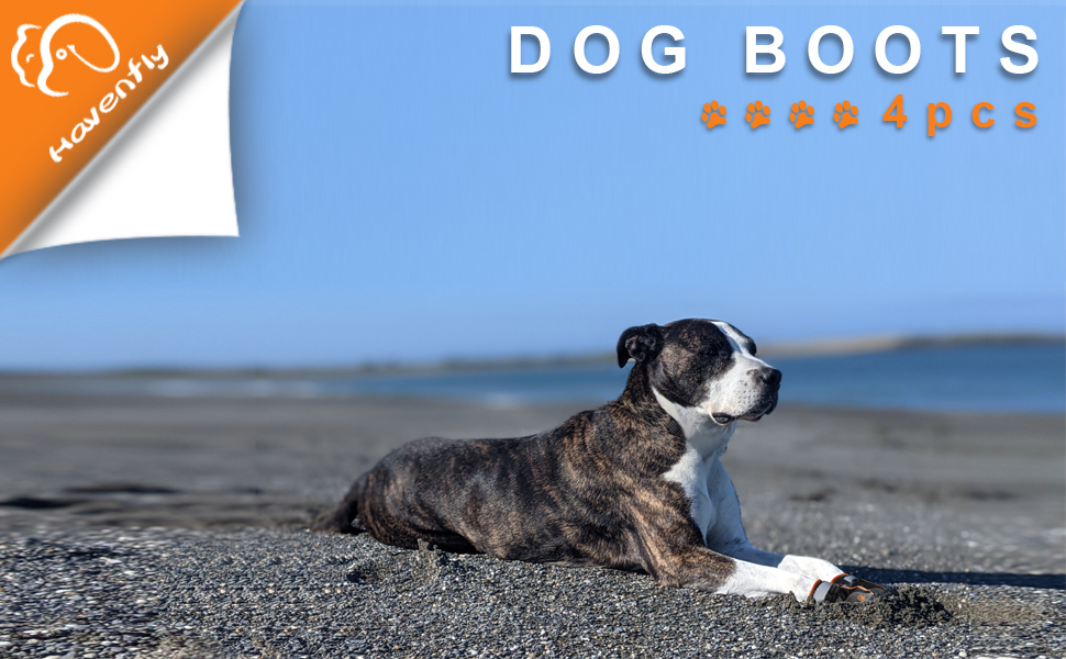 Водонепроникні чоботи для собак 4 шт. з регульованими ремінцями та світловідбиваючими елементами (B, 2)