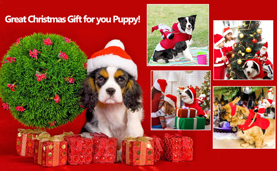 Костюм Святого Миколая для собак, теплий зимовий халат, костюми для собак, тепла куртка, костюми для тварин, регульований костюм Святого Миколая для домашніх тварин (XXL)