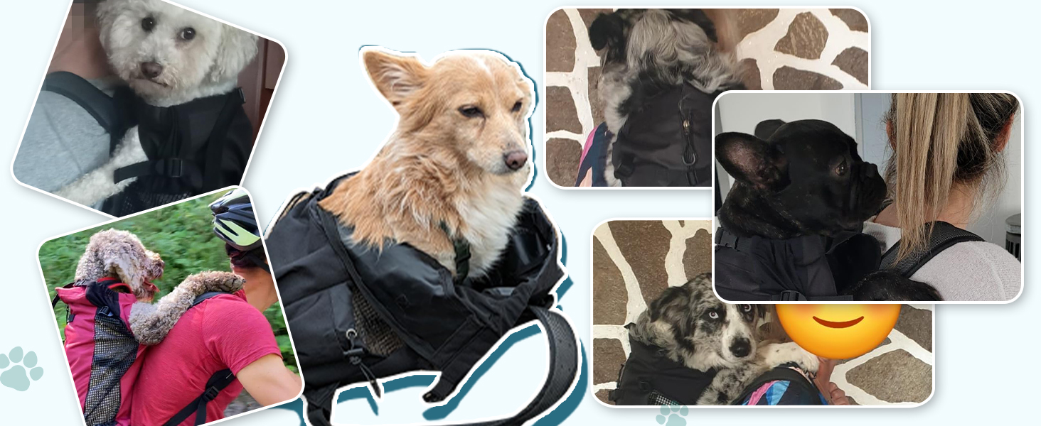 Рюкзак-переноска для собак Galatée, регульований, з вентиляцією, для походів, трекінгу та подорожей (S, чорний)