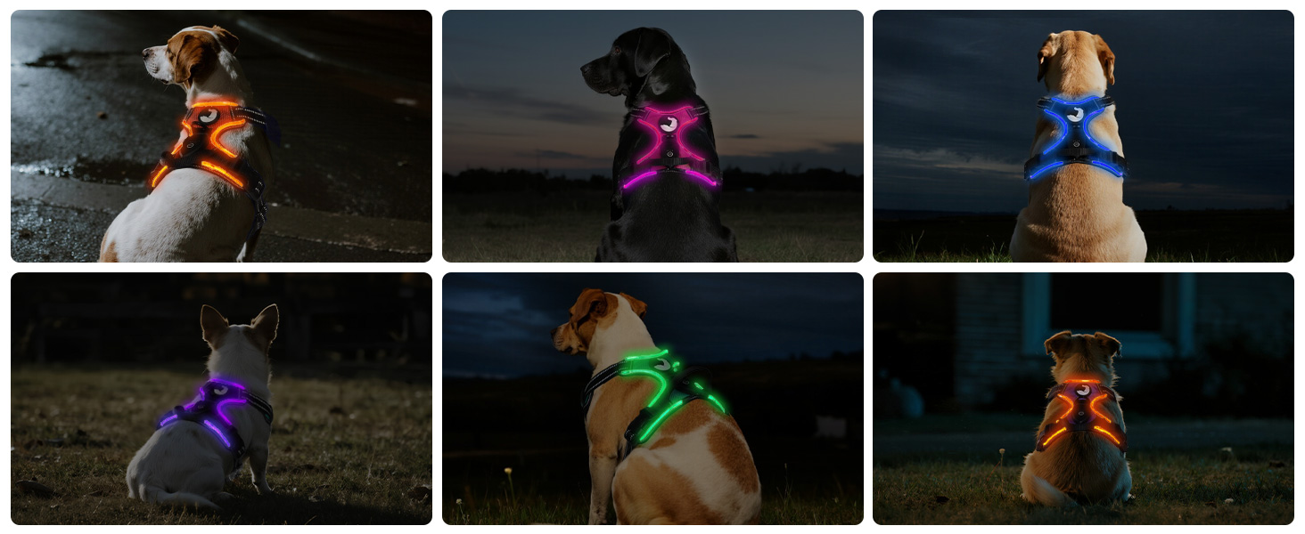 Світловідбиваючий нашийник для собак Joytale з LED, для середніх собак, без натягування, з ручкою, регульований, для нічних прогулянок, зелений, розмір M (1 шт.)