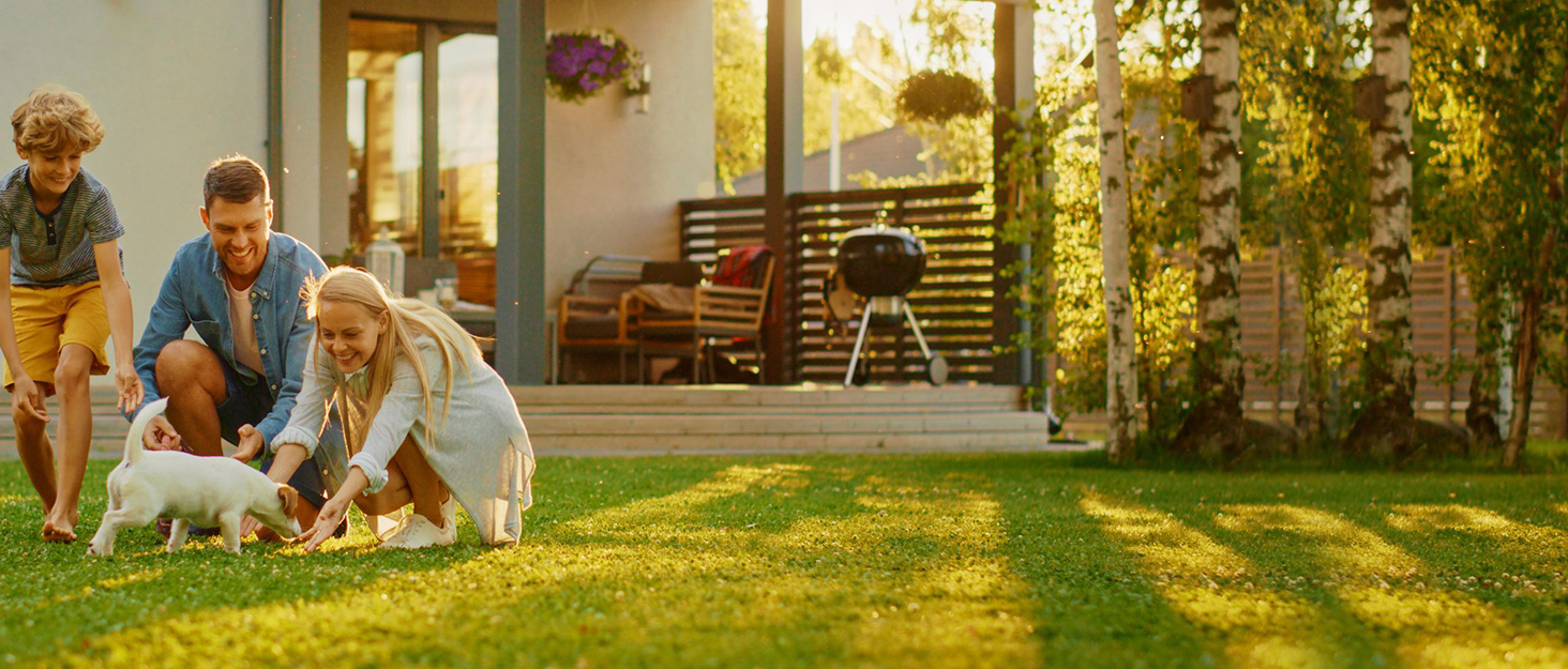 Портативний вольєр для цуценят та котів ALLSOPETS, XXL, для дому, вулиці, подорожей, з сумкою