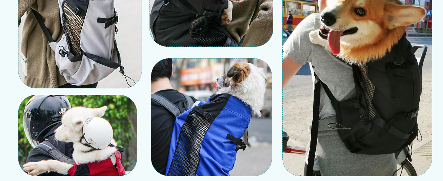 PETCUTE Рюкзак-переноска для собак та котів, сірий, до 10 кг
