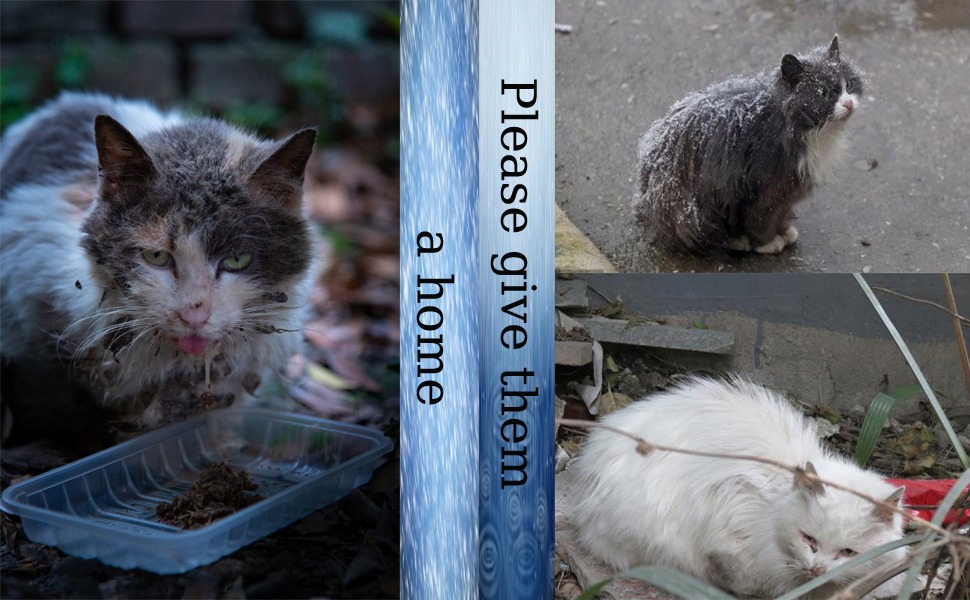 Кішковий будиночок Vinnypet для вулиці: зимостійкий, водонепроникний, теплий, знімний килимок, 40x38x35 см, чорний