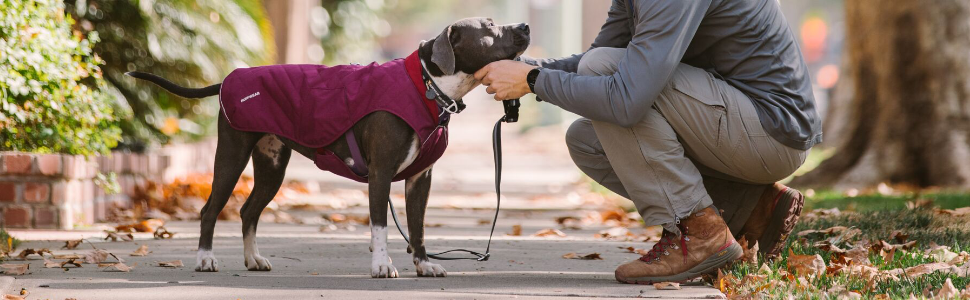 RUFFWEAR Stumptown Jacket - теплий та зносостійкий дощовик для собак, фіолетовий, XXS