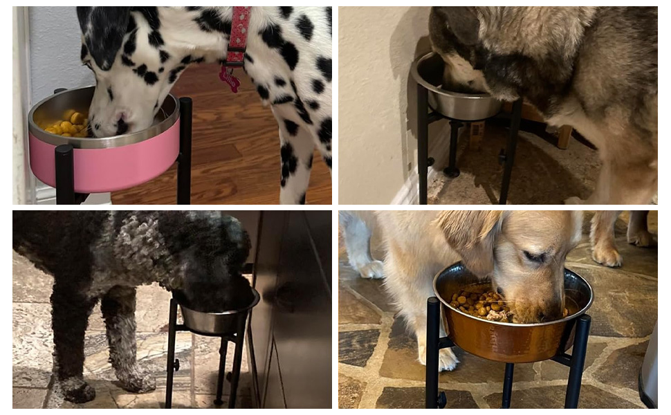 Підвищений годівниця для собак з регульованою висотою та шириною, металева миска для води/корму, підставка для собак великих, середніх та маленьких порід (миска не входить до комплекту)
