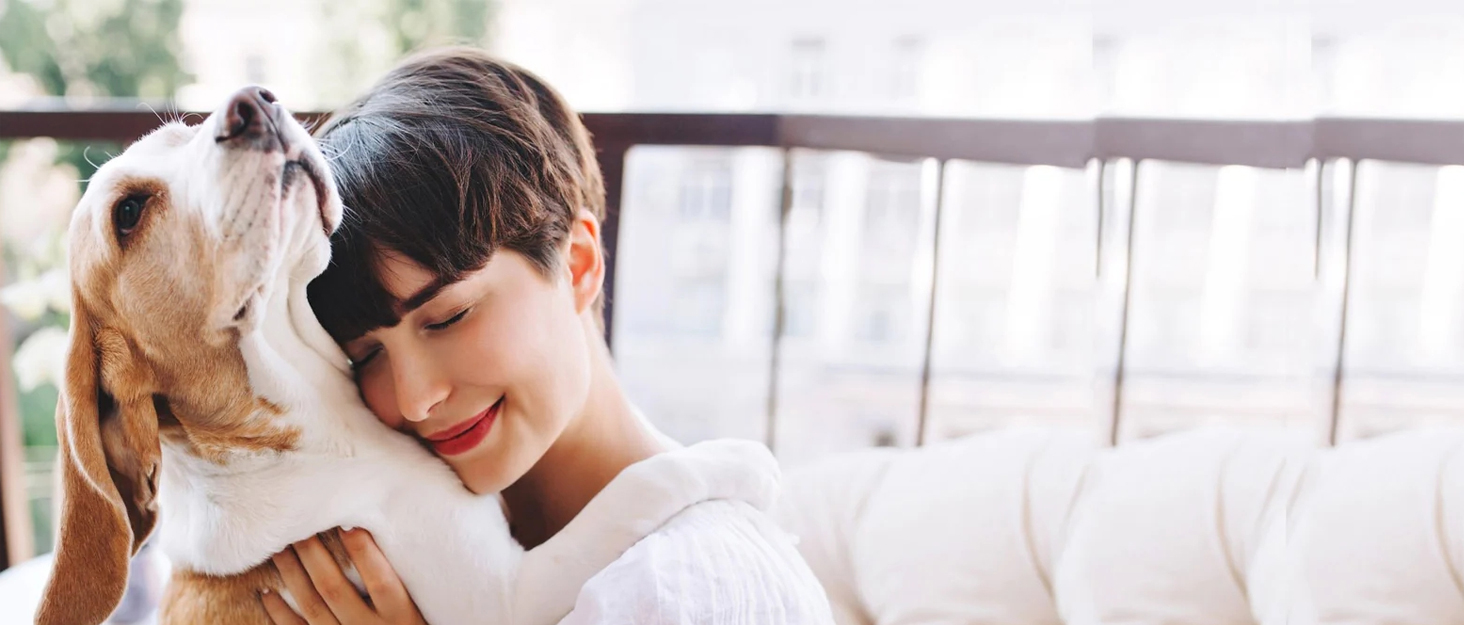 Набір щіток для тварин 5 шт. для видалення шерсті з меблів, щітки для собак та котів з довгою та короткою шерстю, ролики для видалення ворсу для дивану, ліжка, багаторазовий двосторонній набір