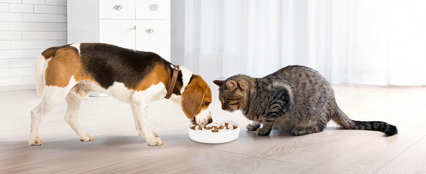 PETTOM Миска для собак протиковтання, кераміка, Ø 21 см, для великих та малих собак, Slow Feeder, білий