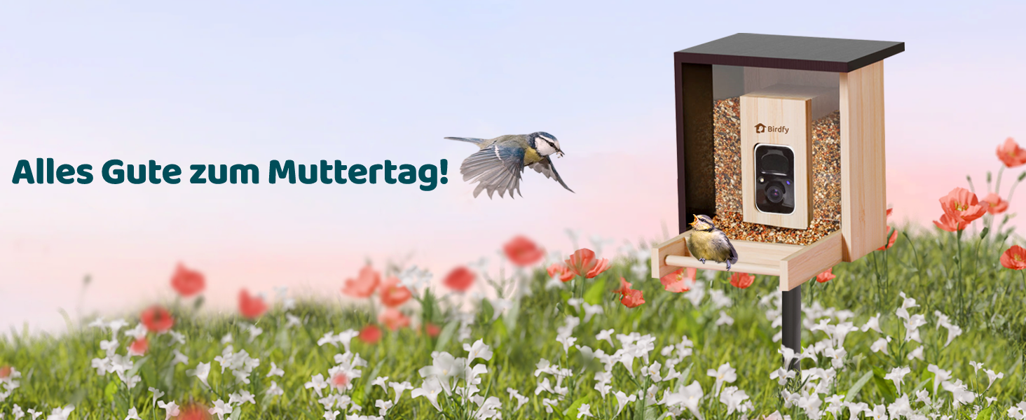 Пташина годівниця з камерою NETVUE Birdfy, Wi-Fi, нічне бачення, сонячна батарея, бамбук, автоматичний відеозапис відвідування птахів