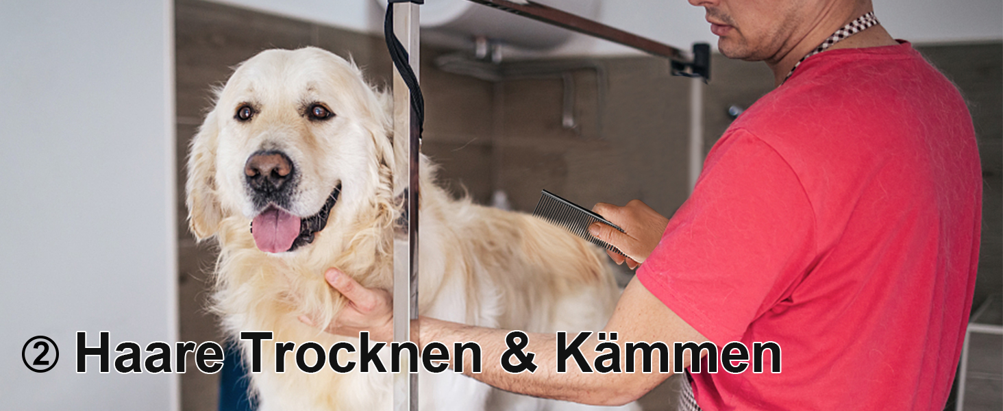 Набір професійних ножиць для грумінгу собак CIICII 10-в-1 з безпечними закругленими кінцями (для собак, котів, тварин). Підходить для стрижки, прорізування та формування шерсті. Срібно-чорний колір.