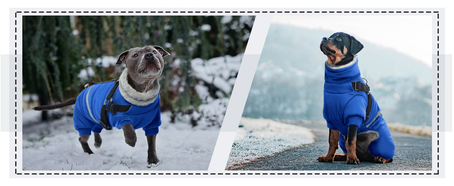 Водонепроникний теплий зимовий одяг для собак середніх порід - теплий комбінезон Onesie з шлейкою, зимова жилетка, теплий пуловер для собак з кільцями D (Синій, M)