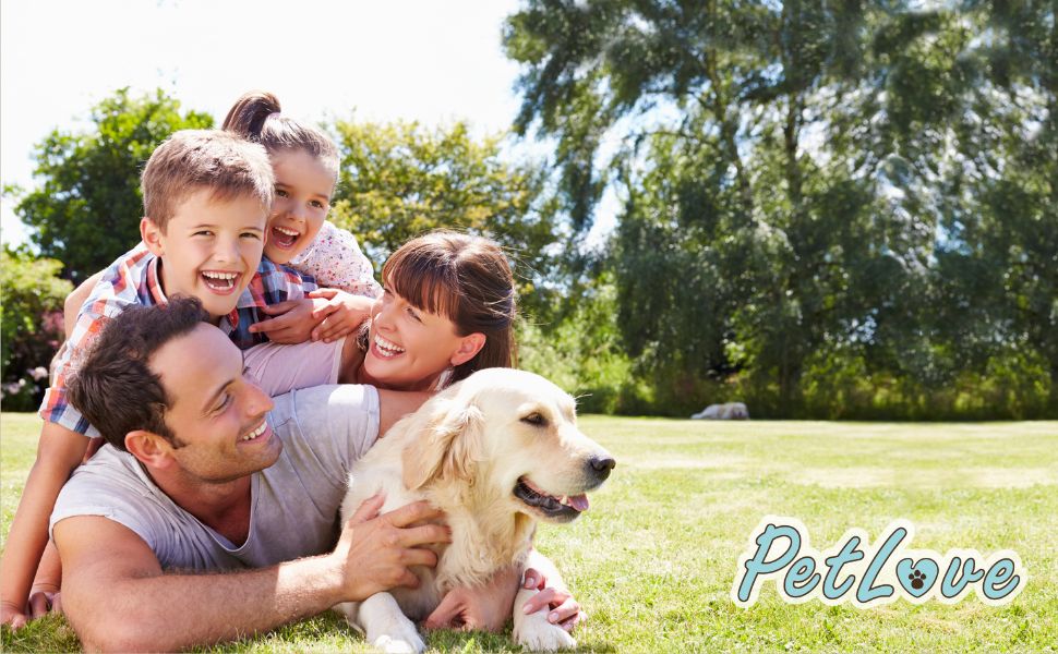 Намисто з бурштину для собак PetLove • 100% балтійський бурштин • Обов'язкове для собак та котів • Довжина: 50-55 см