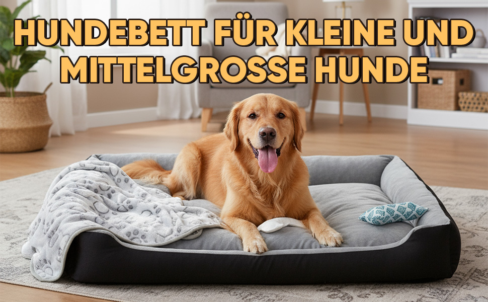 Ліжко для собак 90x70 см з подушкою у вигляді кістки та легкою ковдрою, м'яке диванчик для собак середніх порід з короткого хутра, миється, кошик для собак з неслизьким дном