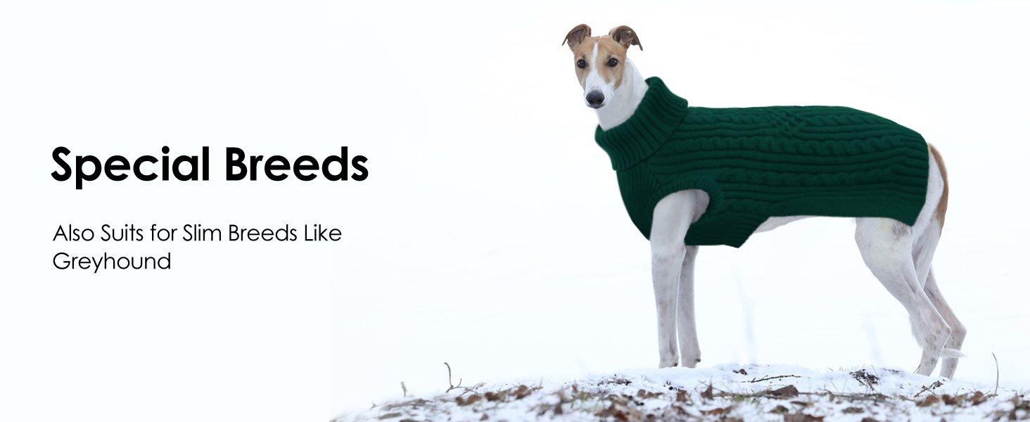 Пуловер для собак AOFITEE для маленьких порід, такса, мопс, мальтипу, з коміром-стійкою, теплий зимовий пуловер, червоний, розмір S