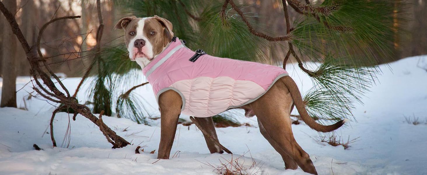 Теплий зимовий одяг для собак XS: теплий пуловер, куртка, жилетка для чихуахуа та інших маленьких порід (рожевий)