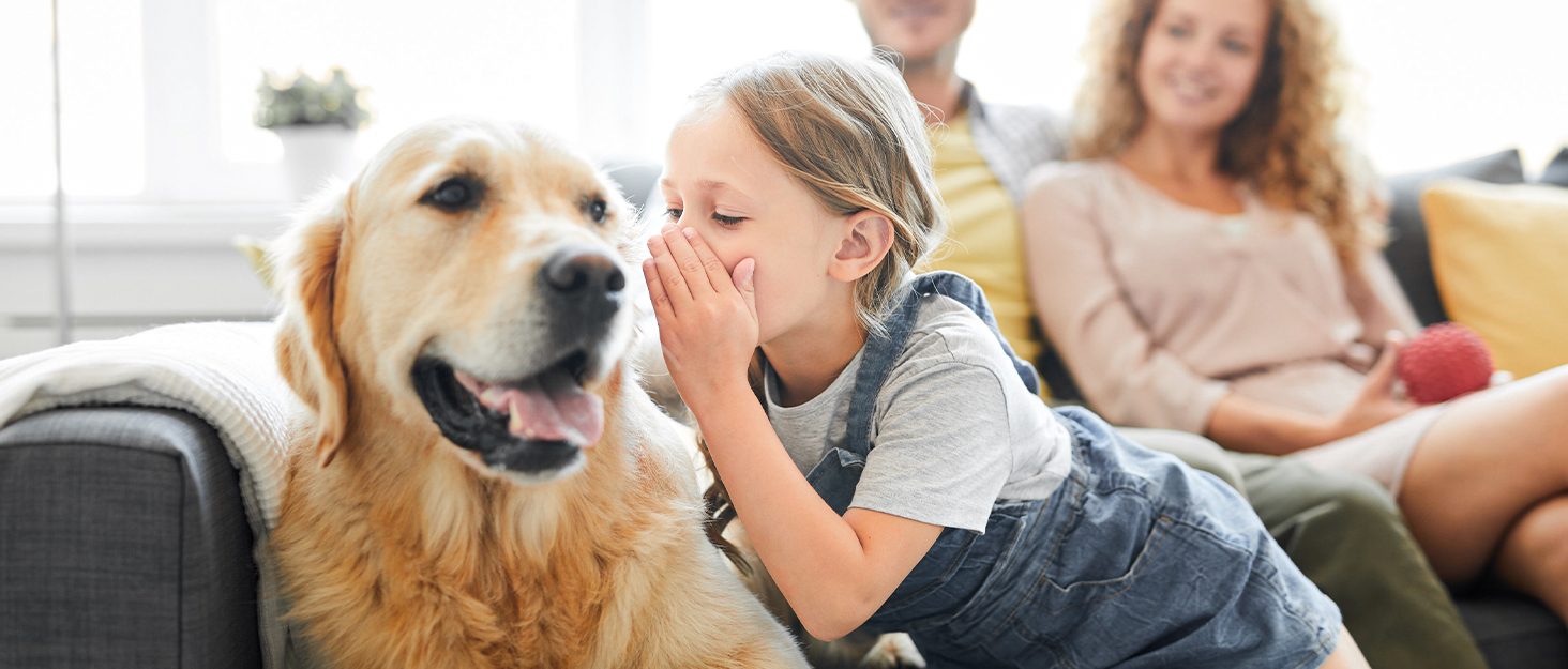 Шліфувальник для собак та котів Gimars з 6 режимами, LED-підсвічуванням, USB-зарядкою та регулюванням швидкості (12000 об/хв)