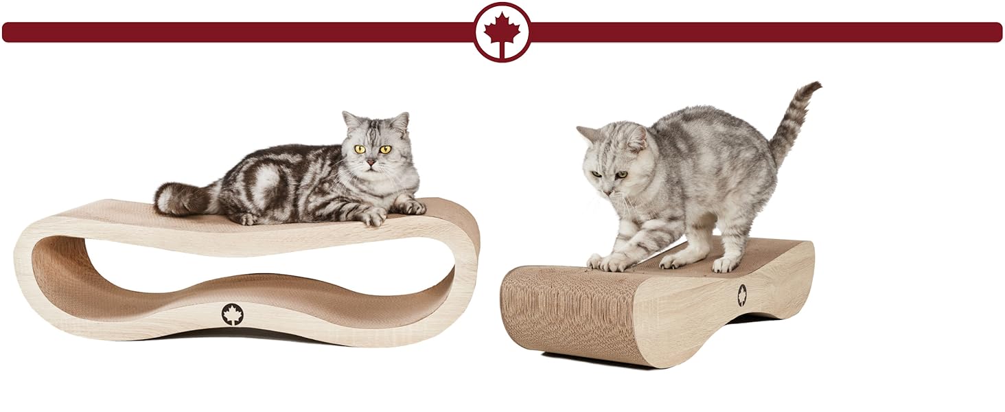 Кігтечка для котів CanadianCat Satellite 2.0 Lounge XXL | З гофрокартону з м'ятою | Колір: горіх | 76 x 24 x 24 см
