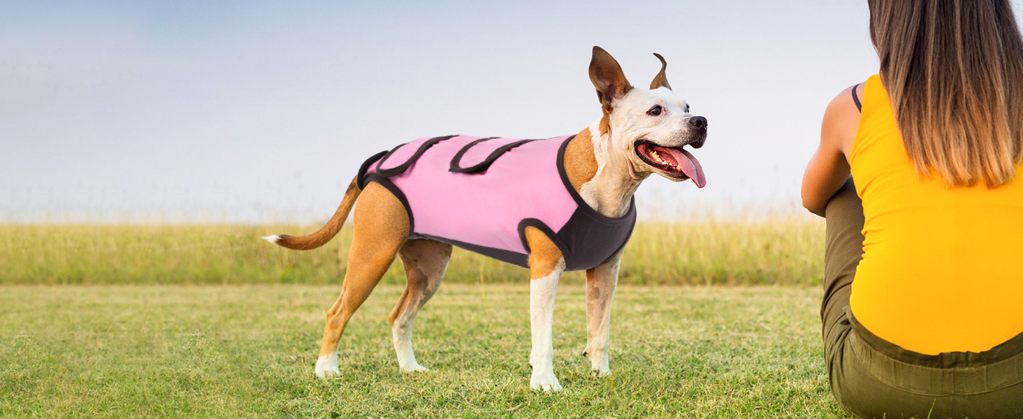 Піжама для собак після операції ASENKU: захист від лизання, альтернатива конусу, рожева, M