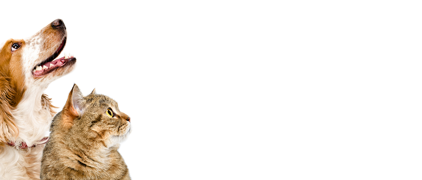 Захист для заднього сидіння авто для собак 4-в-1, 100% водонепроникний, з боковими захистами, для легкових, вантажних автомобілів та SUV, стійкий до подряпин та ковзання