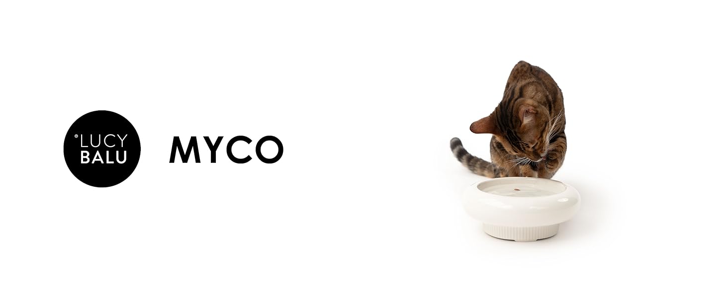 Котло propositionsний набір LucyBalu® MYCO: миска для корму та води для котів з кераміки | Пряма миска для котів | Біла миска для води та корму | Якісний котячий набір