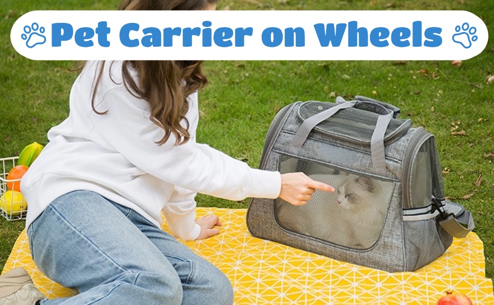 Транспортна сумка для кота на колесах 2 в 1: ідеальна для подорожей, ветеринара, авто, поїздів та літаків