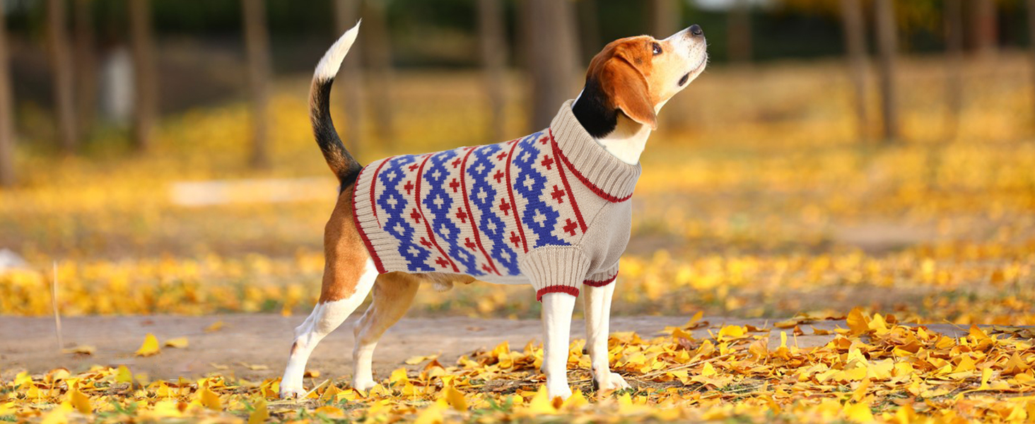 Теплий в'язаний зимовий пуловер для собак великих порід Katzinst | Зимовий пуловер для собак, Лабрадор, Доберман (Абрикосовий, 3XL)