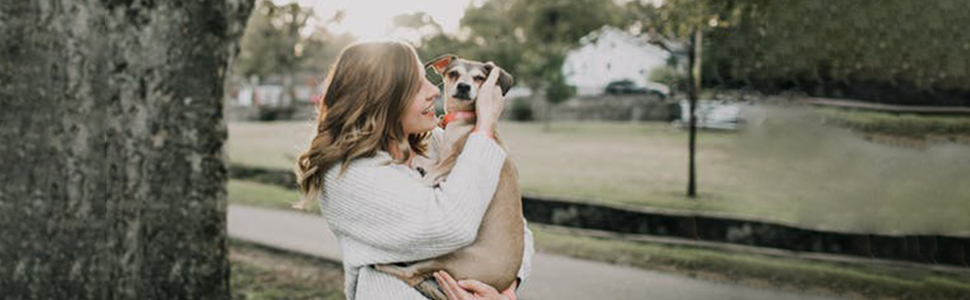 Трансформер для домашніх тварин X-ZONE: переноска для собак та котів, середнього та малого розміру, чорного кольору (44 x 28 x 28 см)