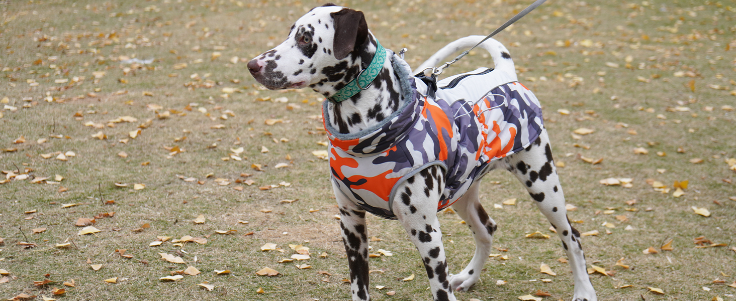 Водонепроникний теплий зимовий одяг для собак - куртка-манжетка з отвором для шлейки, камуфляж Olive Drab (3XL)