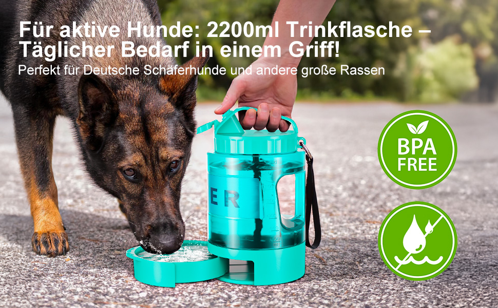 Турбопляшка для собак Lesotc 2200 мл: велика, портативна, для подорожей та кемпінгу (м'ятний)