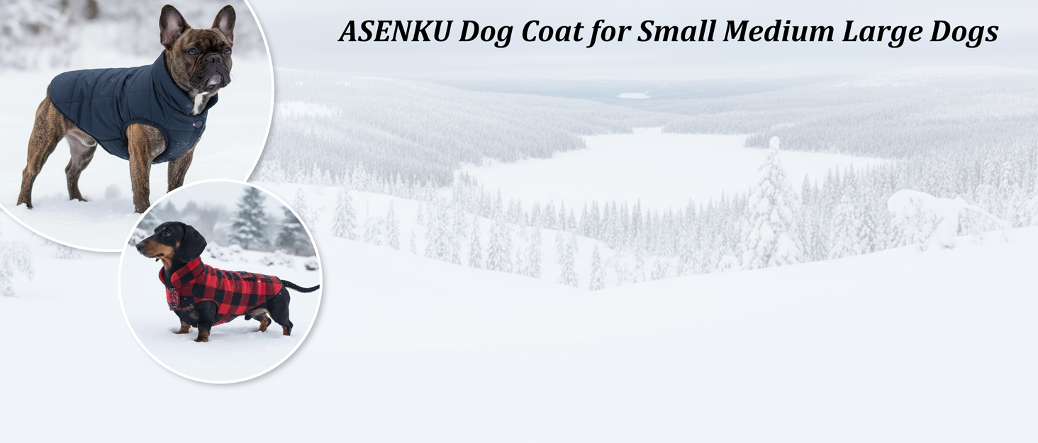 Зимовий теплий водонепроникний одяг для собак - куртка з флісу для малих порід (M, блакитний)