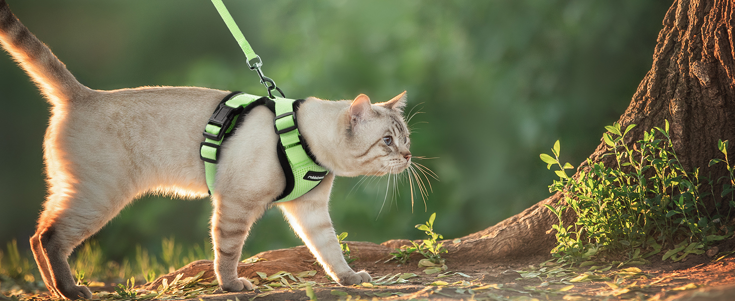 Шлейка для кота Rabbitgoo з повідком, м'яка, безпечна, регульована, зелена, розмір M (XXS, 1 шт.)