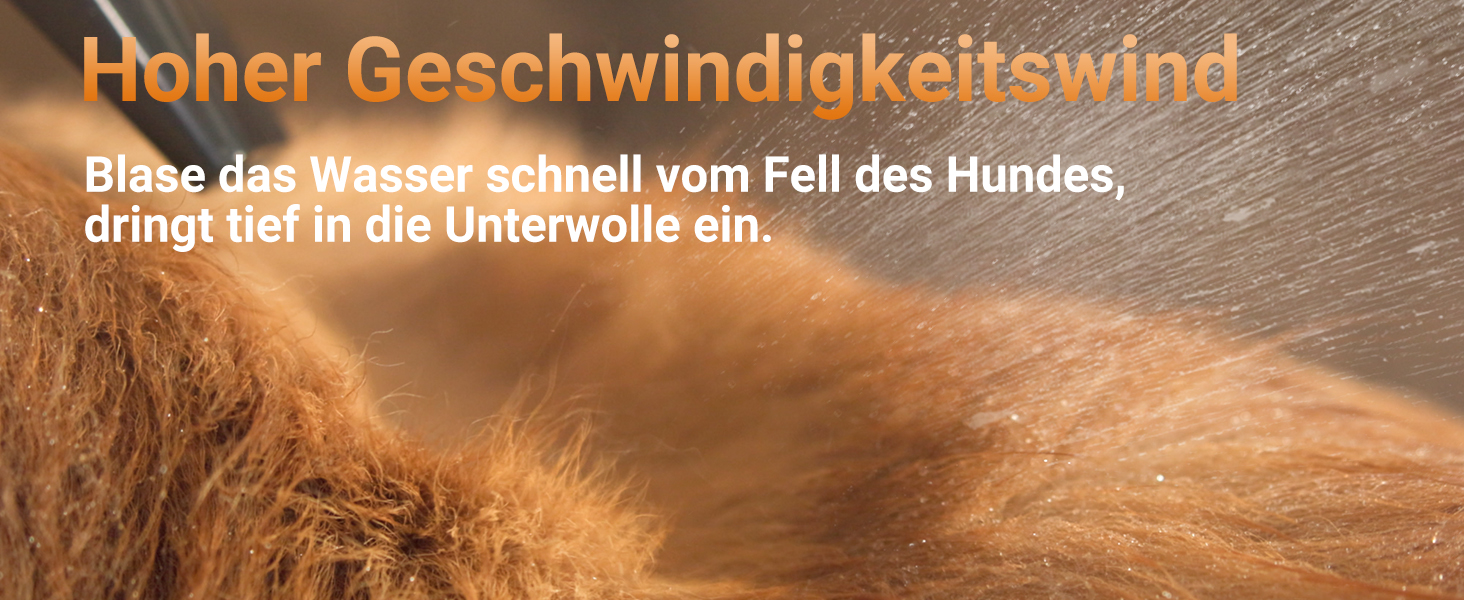 Фен для собак P40, тихий (40 дБ), 3 насадки, регулювання швидкості та температури, іонізація, портативний, для собак та котів, чорний