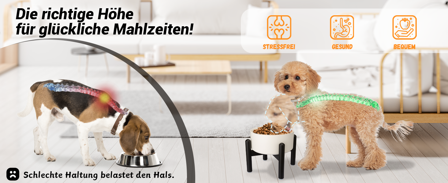 Підвищена годівниця для собак, керамічна миска для корму з нержавіючою підставкою - для маленьких та середніх собак, діаметр 15,5 см, об'єм 850 мл, білий колір