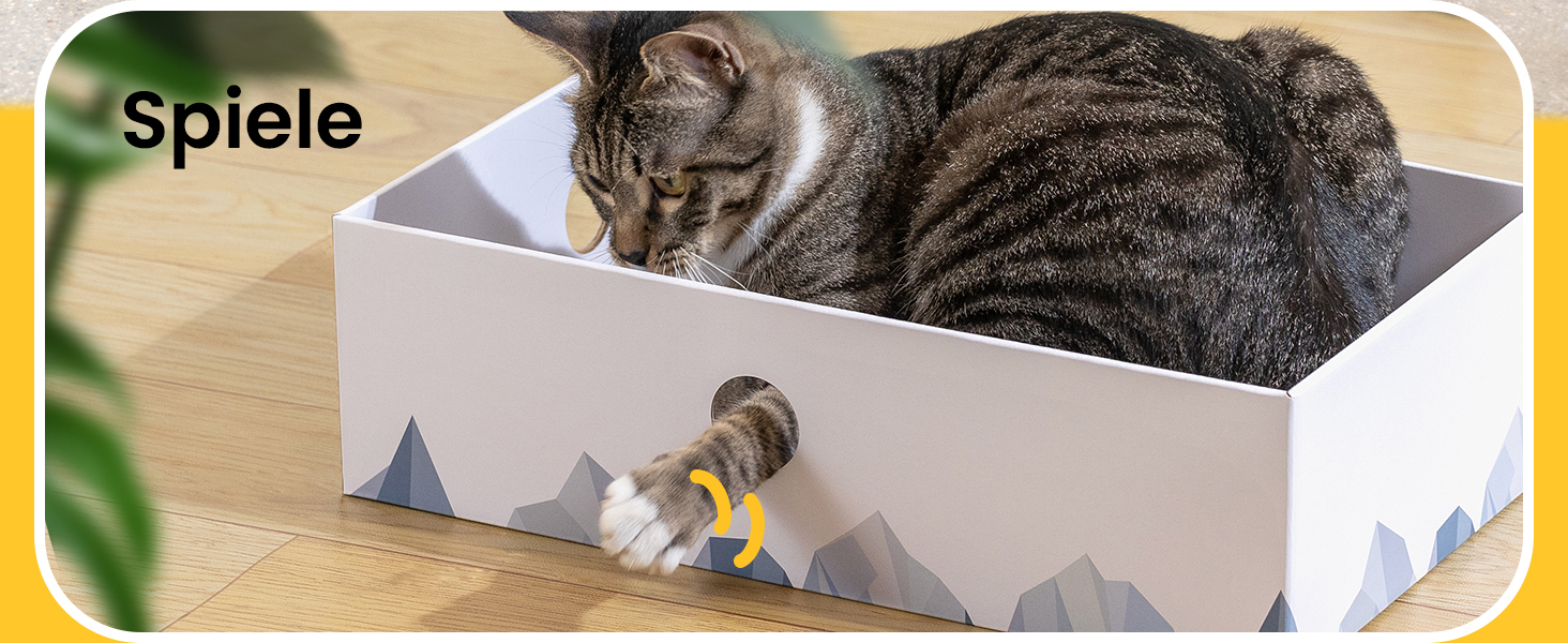 5-Piece Conlun Cat Scratch Box Set with Scratching Pad - Large, White