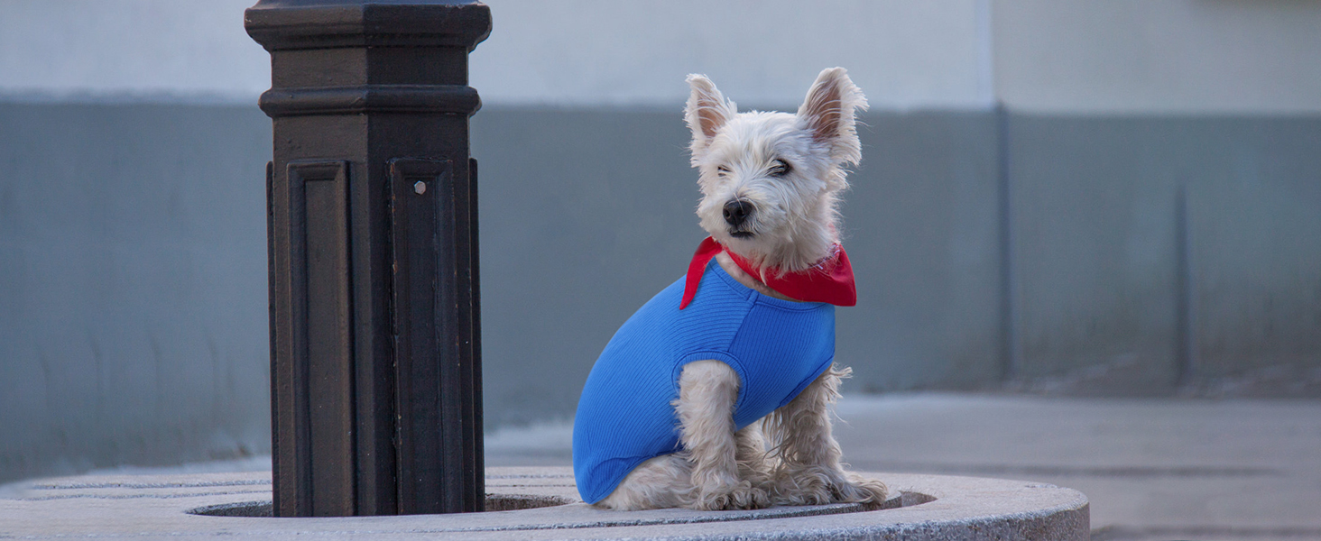 Сорочка для собак Х'юмараян, великі породи, зелена XXL: захист від сонця, еластична, для лабрадорів