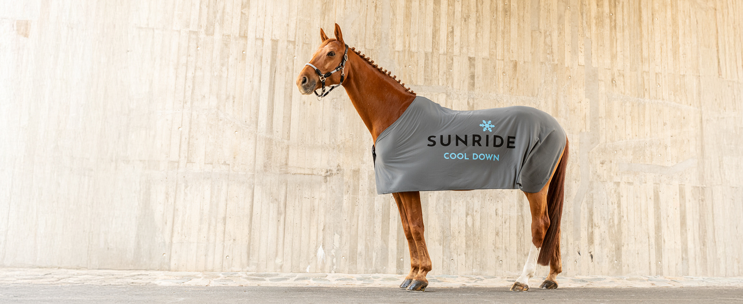 Охладна ковдра SUNRIDE для коней (Cool Down) 3-частинна - з накидкою на голову та тканиною - миттєвий охолоджуючий ефект завдяки випарній прохолоді - екологічна, проста у використанні - сіра (125 см)