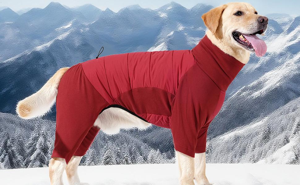 Зимовий одяг для собак: теплий водонепроникний зимовий пуховик з коміром-стійкою для малих та середніх собак, для прогулянок, хандрі, туризму, сірого кольору, розмір L