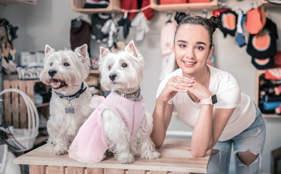 Сукня для собак на весілля: розкішний собачий балетний костюм принцеси, літня сукня для цуценят, сукня для собак на весілля з бантиком, для маленьких дівчаток (XS, Рожевий)