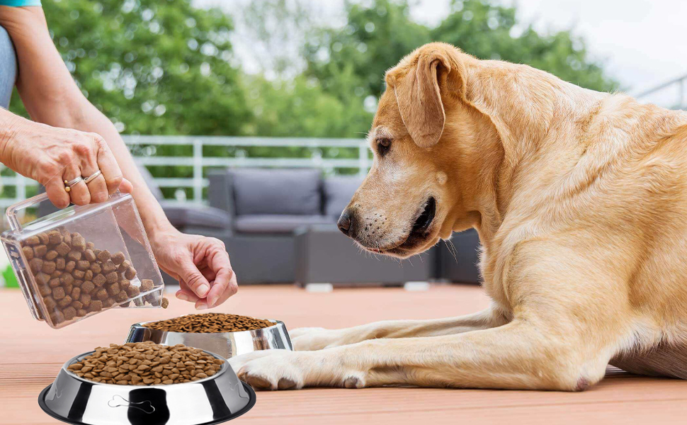 Миски для собак з нержавіючої сталі, 2 шт. - неслизька основа, для корму та води, середніх та великих собак, срібні