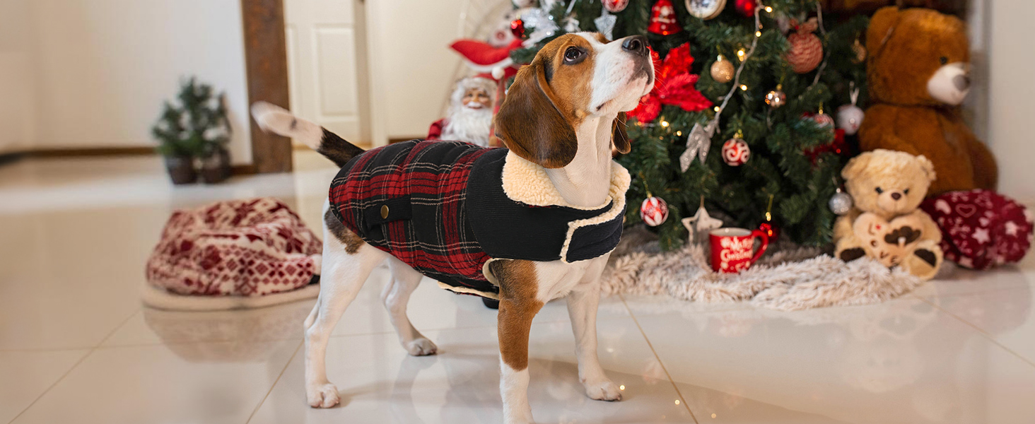 Теплий зимовий одяг для собак: флісовий зимовий одяг, куртка для маленьких, середніх та великих собак. Тепла куртка-пуловер для собак з отвором для повідка, підходить для активного відпочинку в приміщенні та на вулиці. Колір: бежевий, візерунок: в клітинку, розмір: L.