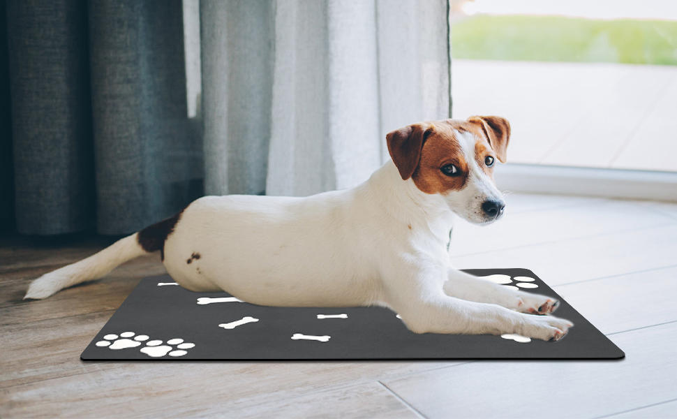 Килимок для собак та котів Lurowo, швидковисихаючий, надпоглинутий, миючий, з антиковзаючим покриттям, 40 x 60 см, дизайн 