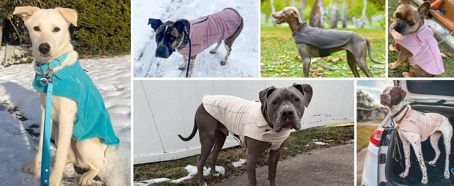 Тепла куртка VIVAGLORY для собак на зиму, флісова жилетка з застібкою-липучкою та отвором для повідка, світловідбиваюча, регульована, S, Бежевий