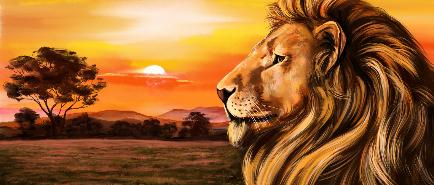 Набір мисок для котів з кераміки з металевим підставкою (2 шт.) - підняті миски для годування котів, неслизькі миски, сучасний дизайн