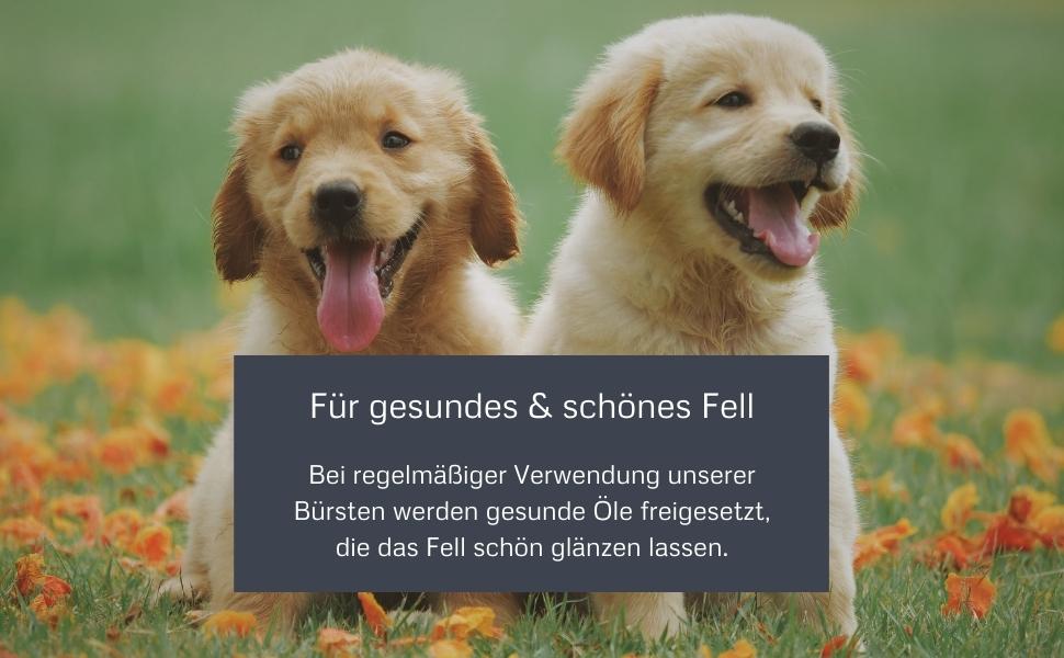 Набір гребінців Bamboo Groom S/M: подвійний гребінець для короткого та середнього хутра котів та собак. М'яка щітка з закругленими шпильками та щетиною дикого кабана для догляду за шерстю.