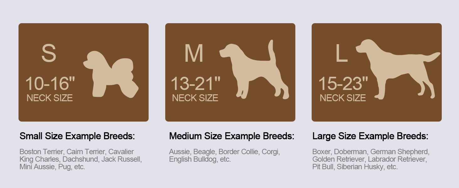 Нашийник для собак Didog з м'якої PU-шкіри, фіолетовий, розмір L (38,1-48,3 см), зручна застібка, для великих собак, для щоденних прогулянок