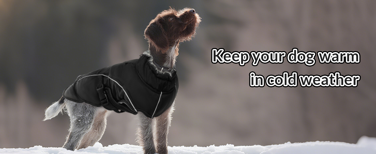 Зимовий теплий одяг для собак великих порід: куртка та пуловер (XXL, чорний)