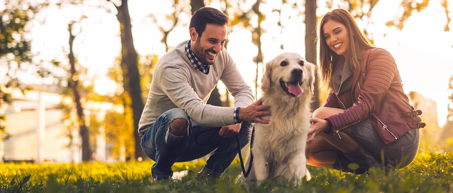 Сумка для ласощів для собак з магнітною застібкою та регульованим поясом, навчальна сумка, портативна сумка для перекусів для прогулянок на відкритому повітрі (Чорний, принт з тваринами)