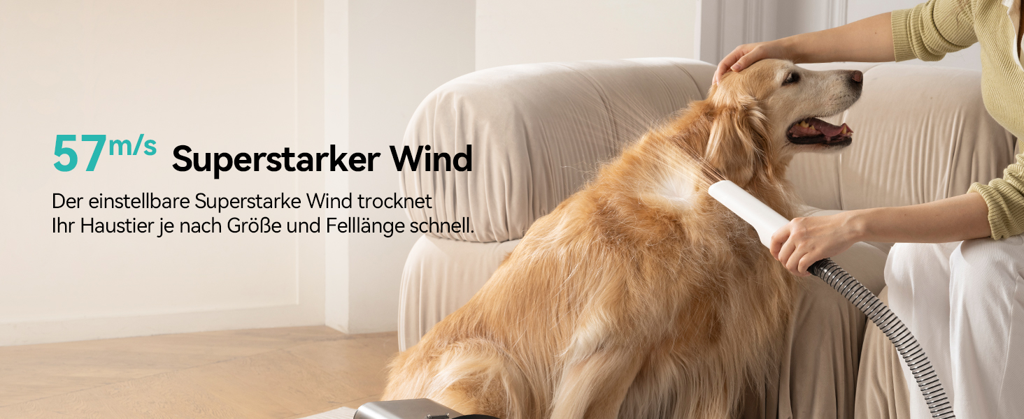 Amicura Шерстьомашинка для собак з пилососом для шерсті та феном 15000Pa, набір для догляду за тваринами, регульована швидкість і температура, 5 перевірених інструментів, тиха машинка для собак та котів