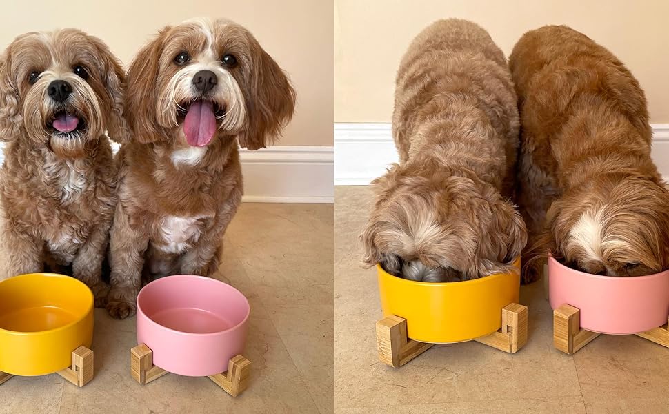 Керамічна миска для собак та котів Pet Wiz з бамбуковим підставкою, піднята миска для зручної позиції під час їжі та пиття, 5 кольорів, об'єм 850 мл (Мраморний сірий)